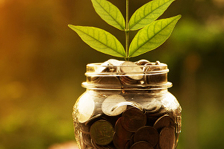 photo of coins in a jar with a leaf - Investor.gov