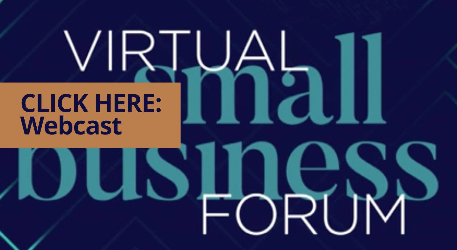 virtual small business webcast